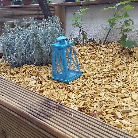 Belvedere Apartment *